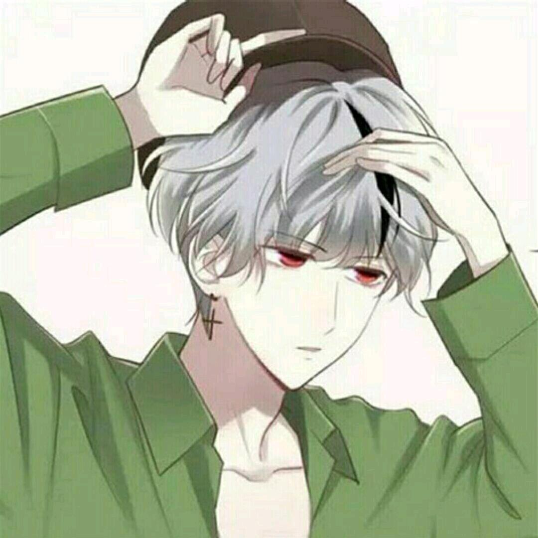 猫七