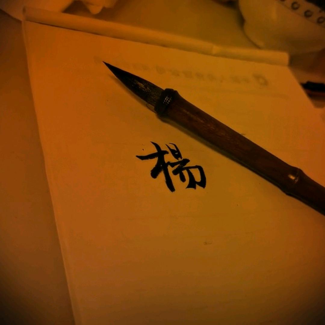 木昜杨手写