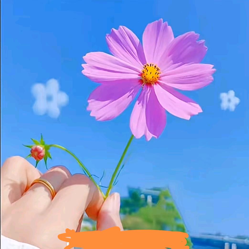 ໑ຼₒ₂₅余生随心꧔ꦿᩚ࿐