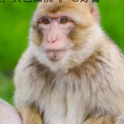 用户493393796750