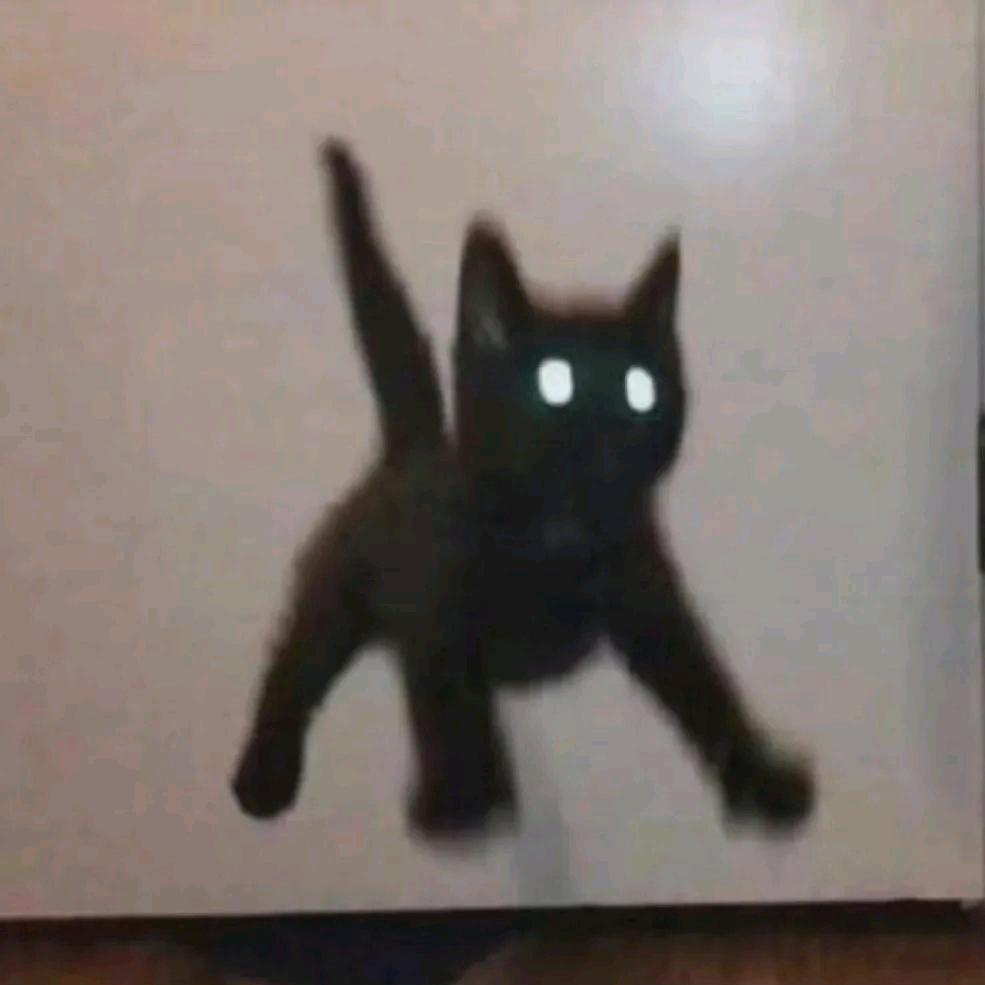 秦彻一气之下给我怒刷三张黑卡