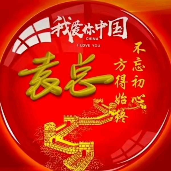 天天进金