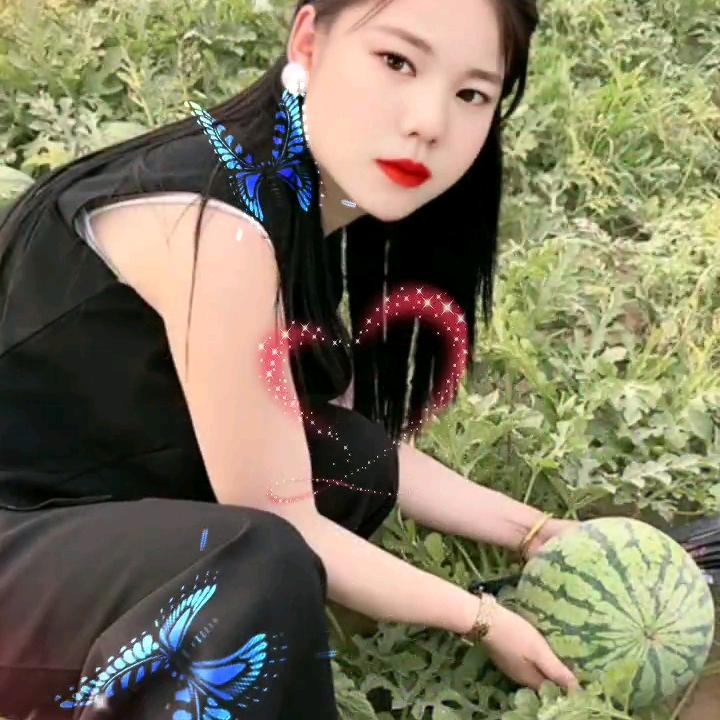 ꧁敏꧂