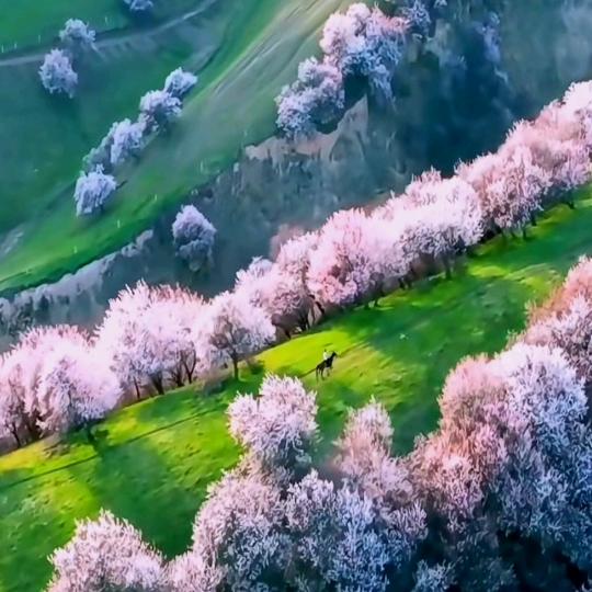 叼着奶瓶逛酒吧!!