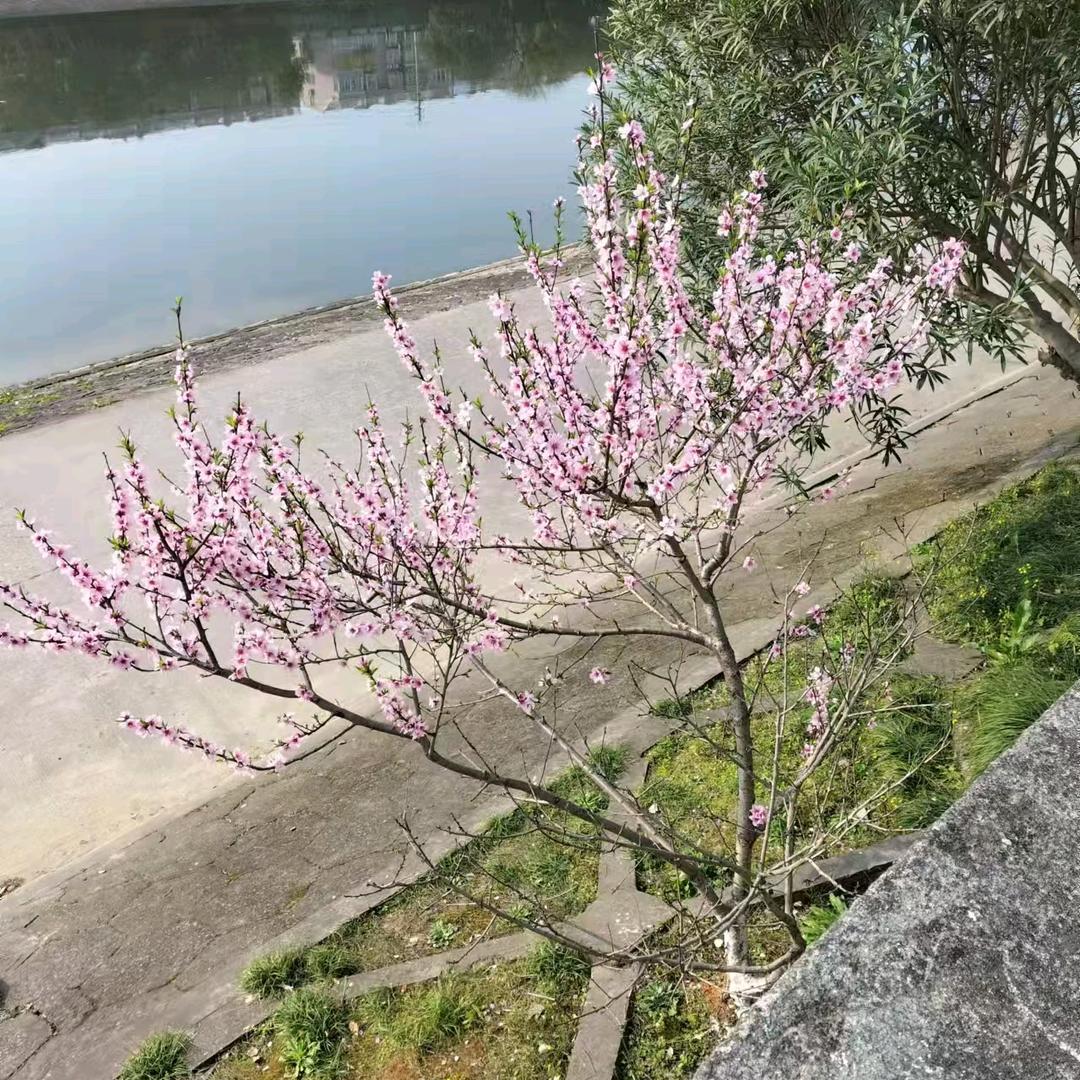 云贵川特色烧烤