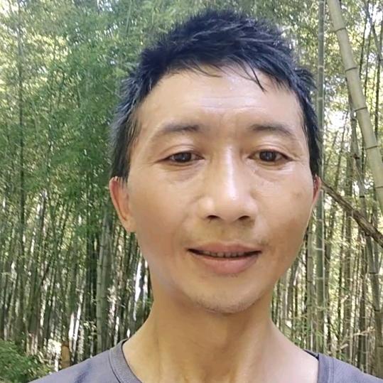 墨苗书画艺术