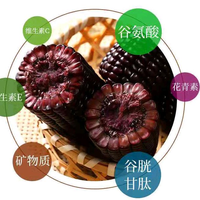 黑玉米低卡食品城