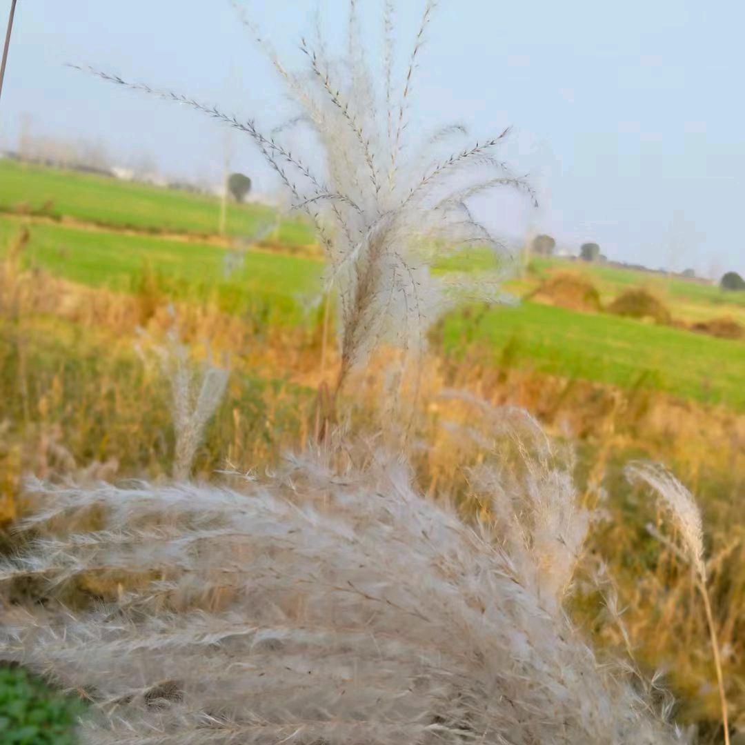 。。。。。。。。。。