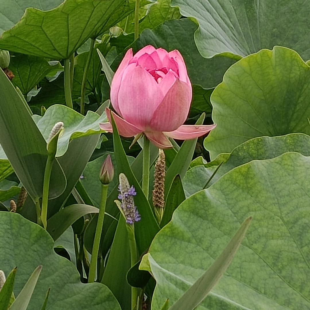 @默默@