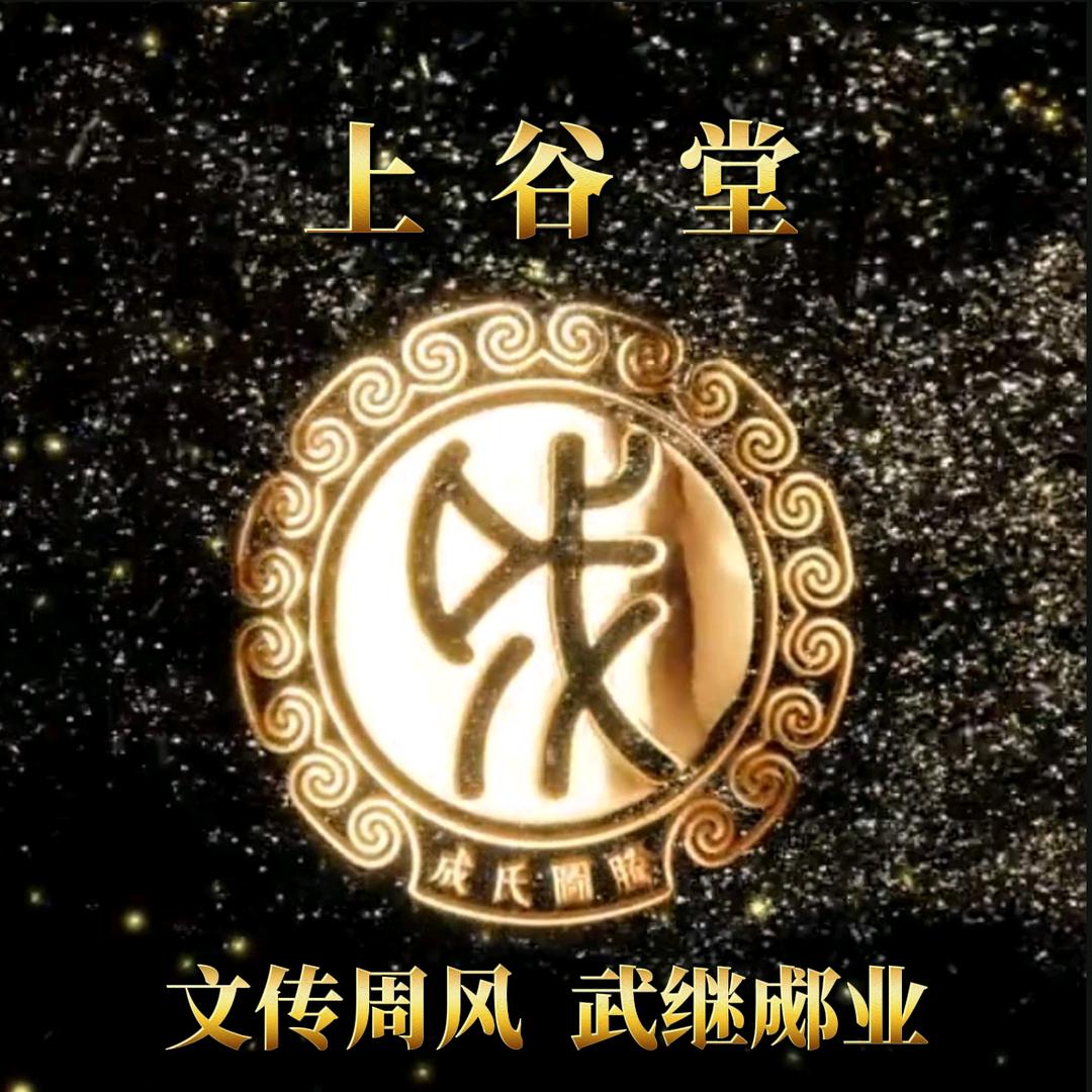 信宜成成歌