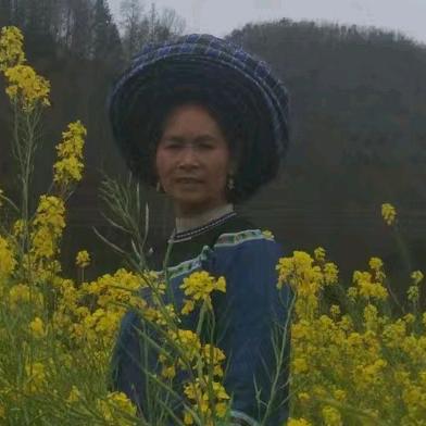 伍朝香