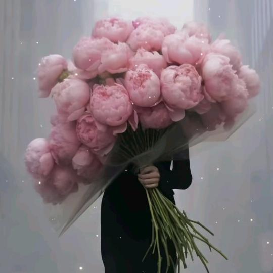 阿玛拉
