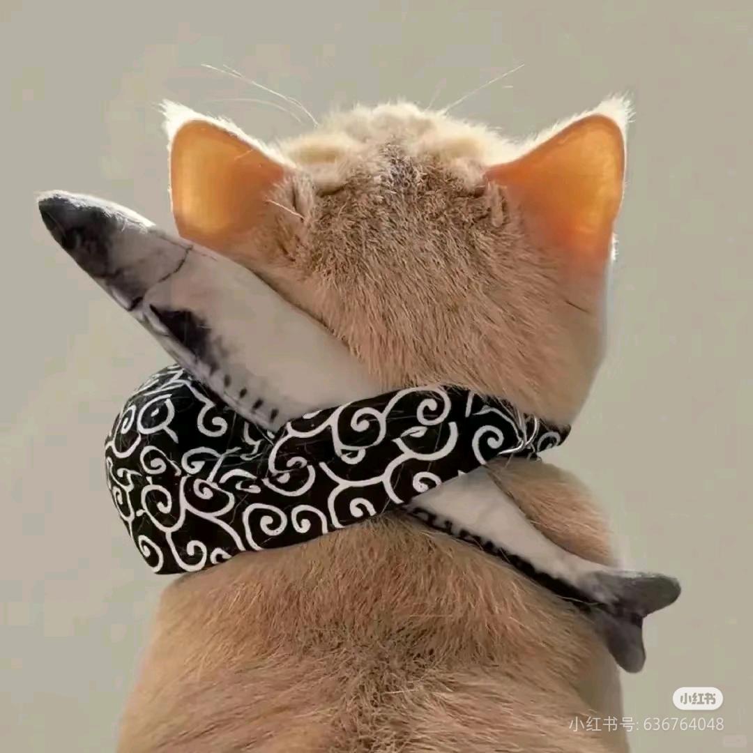 偷吃猫的鱼