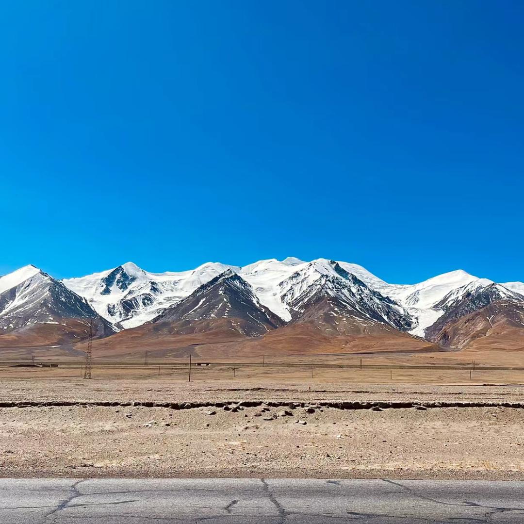 🌸小仙女🌸🍀