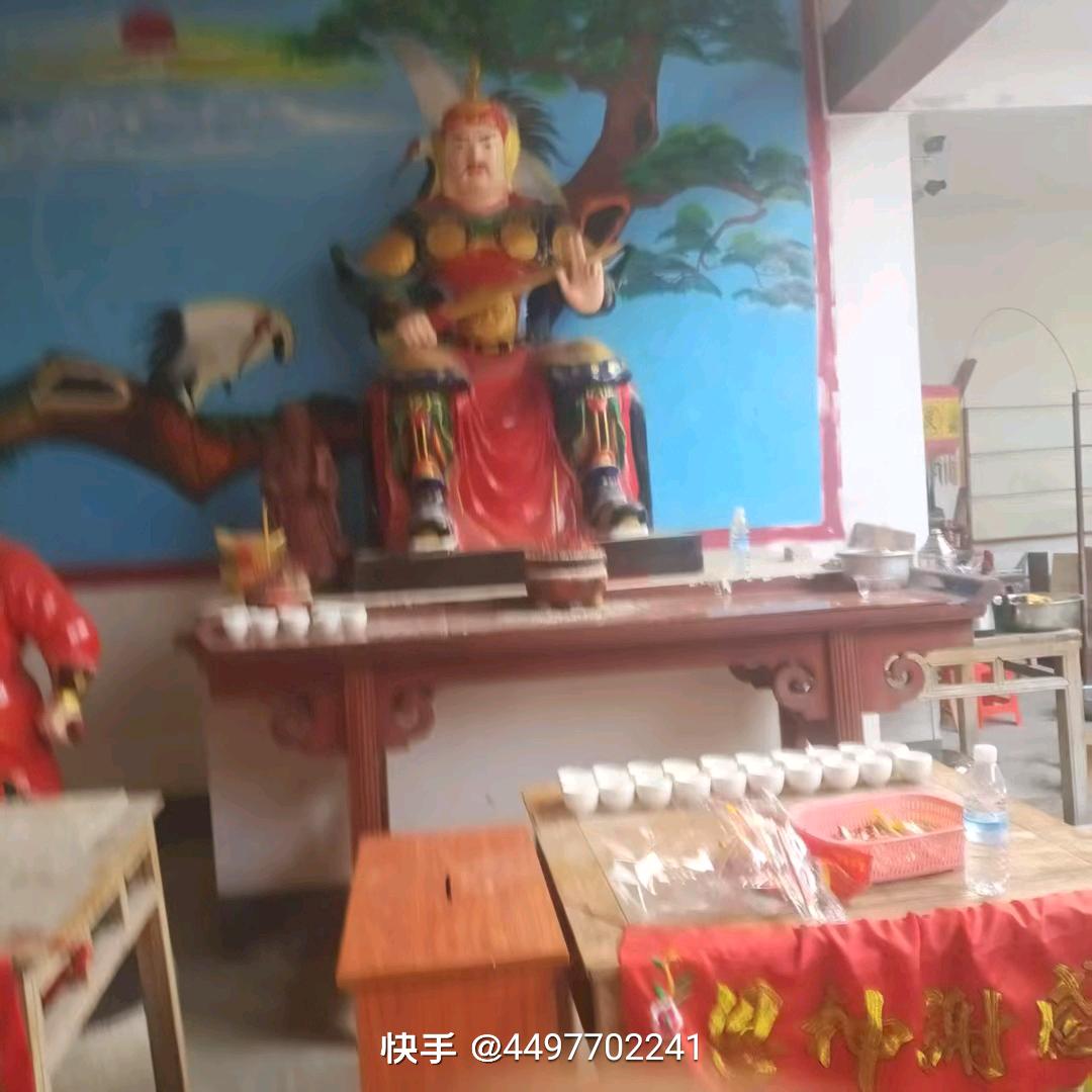 小黄猫老李