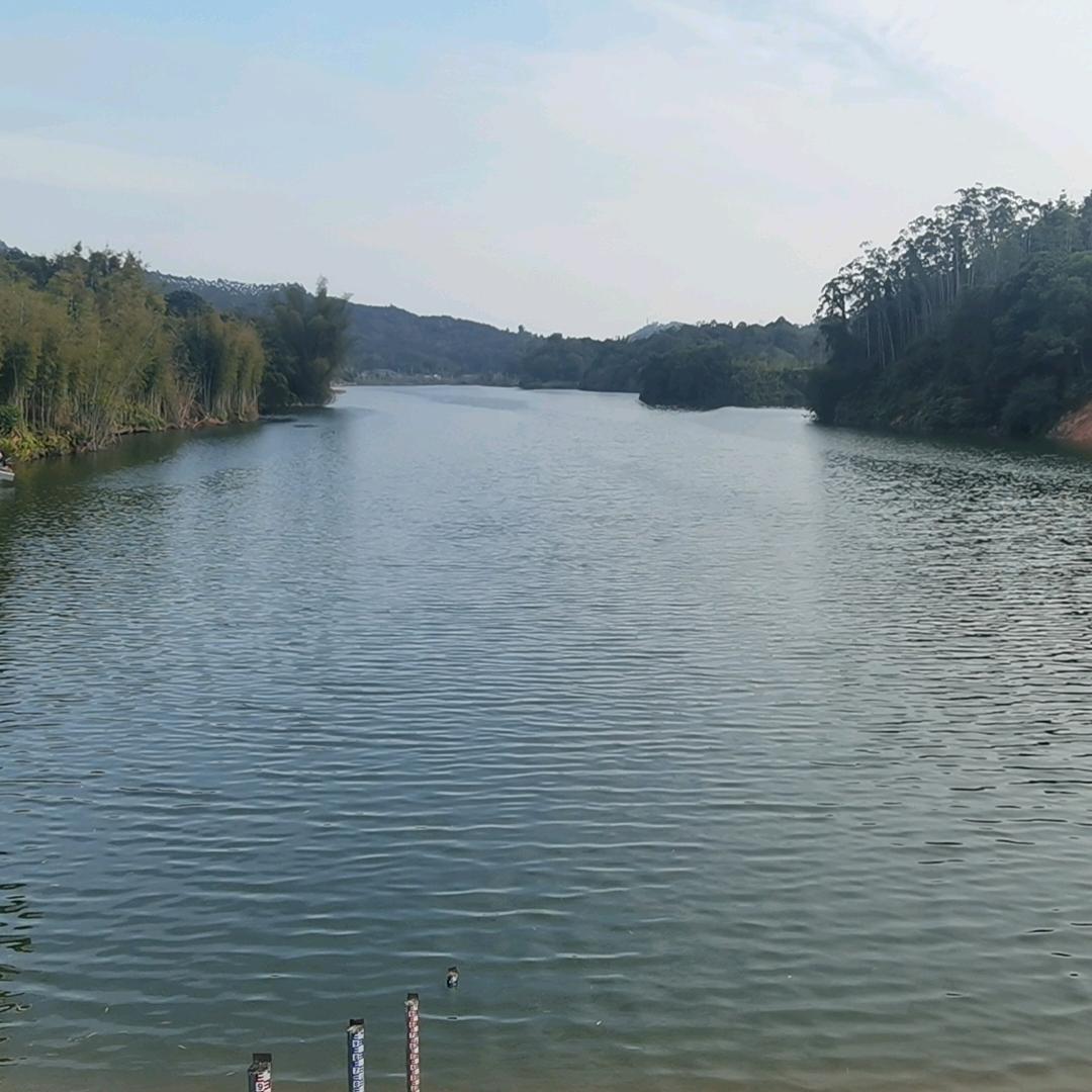 广州九益湖休闲垂钓基地