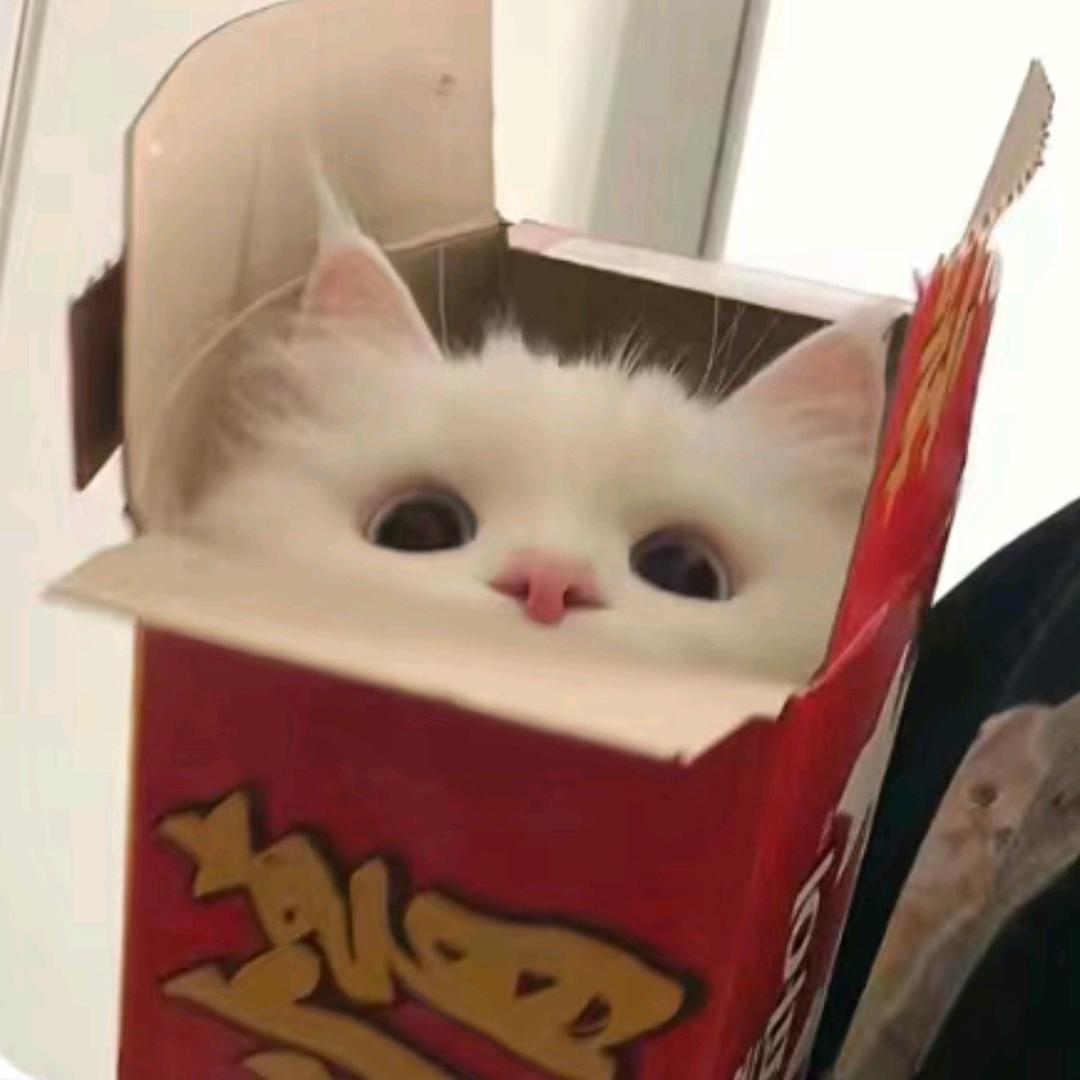 呼呼大睡