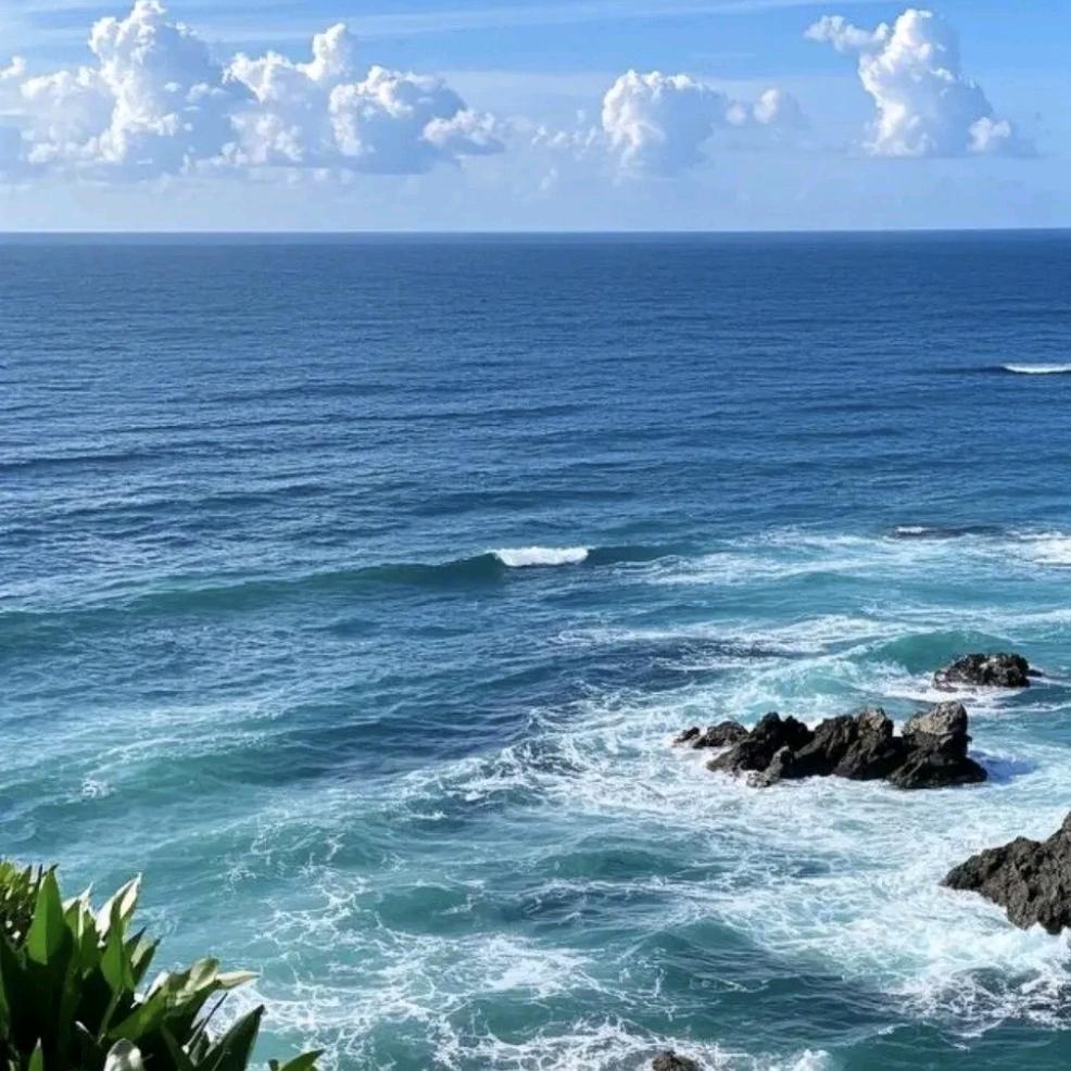 卢红圆………之！