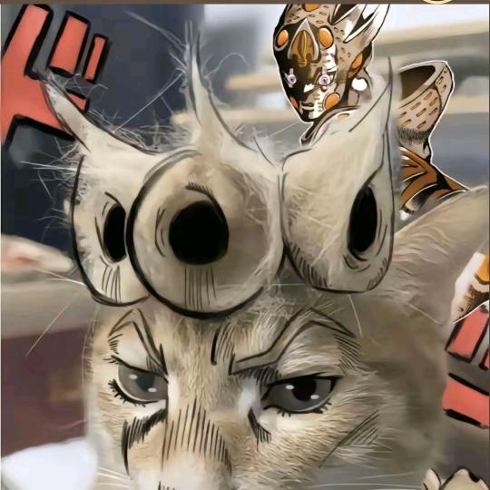耄耋之喵（攒猫粮钱中）