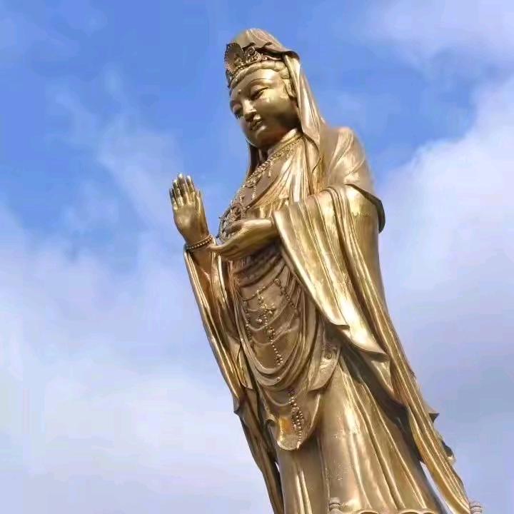 卡车小伙