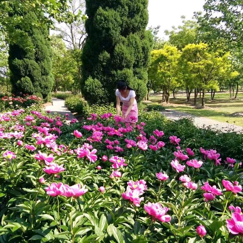 小翟呀