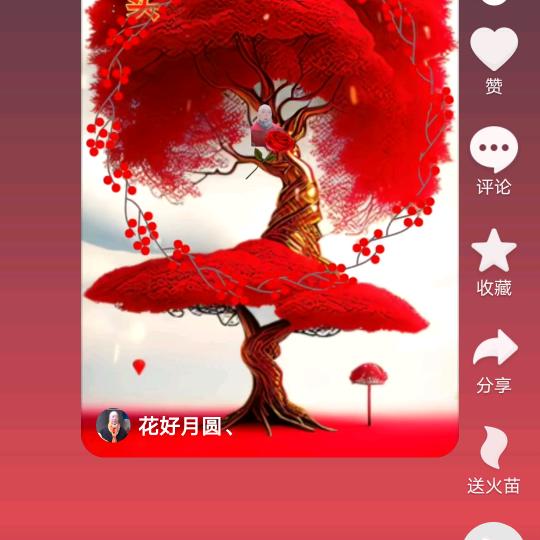 小鸽子的鞋坊，