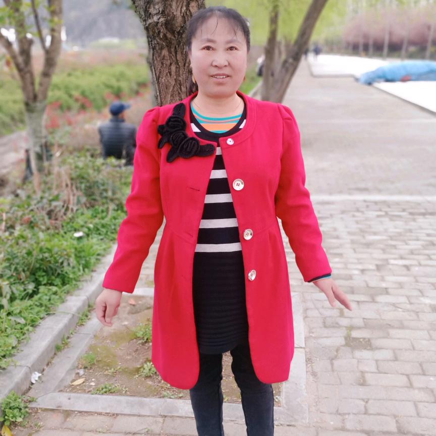 四季长清