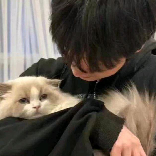 初泽
