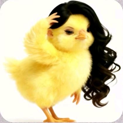 重生之霸道总裁爱拉屎不开屁股还扣鼻屎的我