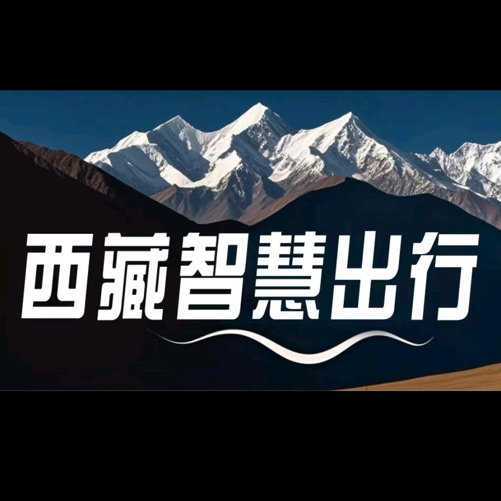 西藏智慧出行-接送机