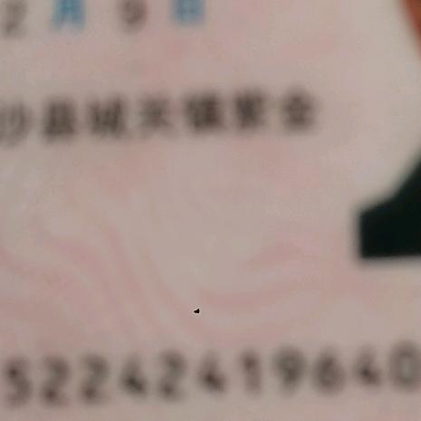 知心