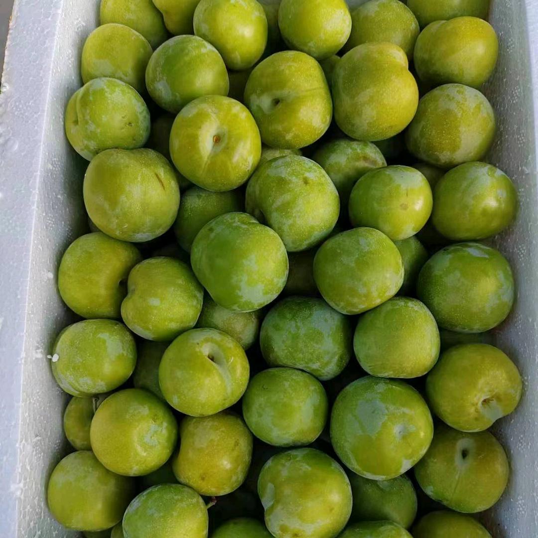 好吃美食⁶⁶¹