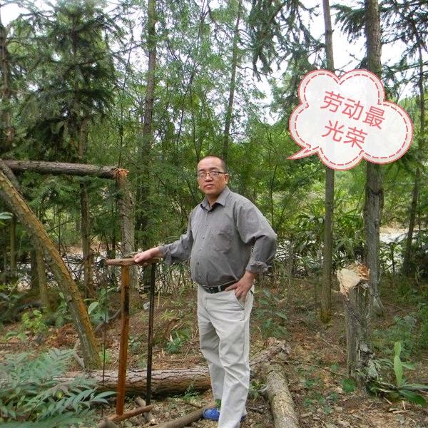 莫老爷广西大瑶山特产LPmolaoye