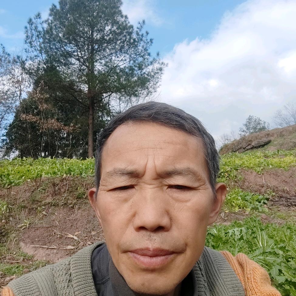 王家族