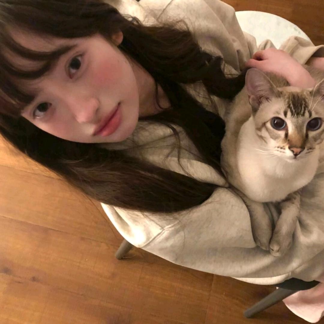 莓莉猫