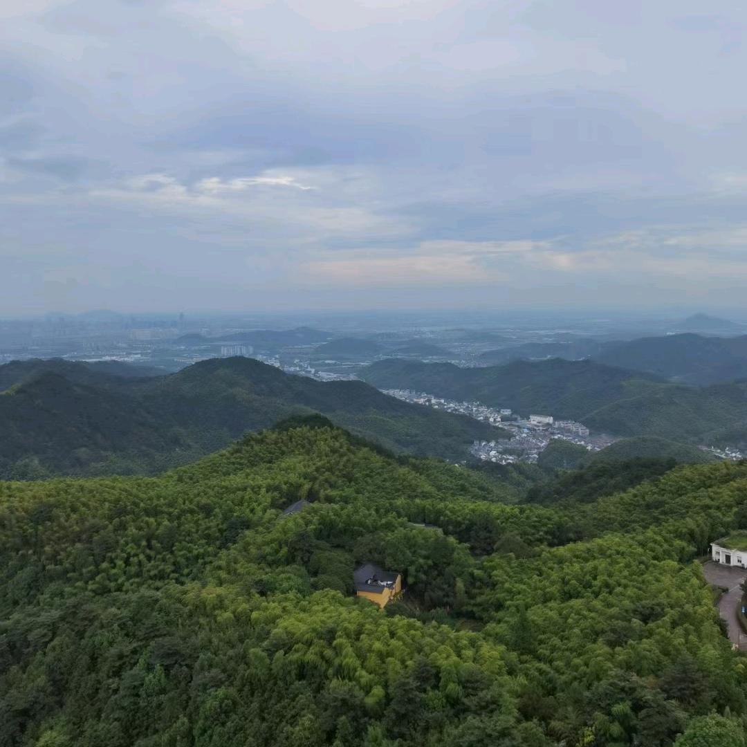 普莲