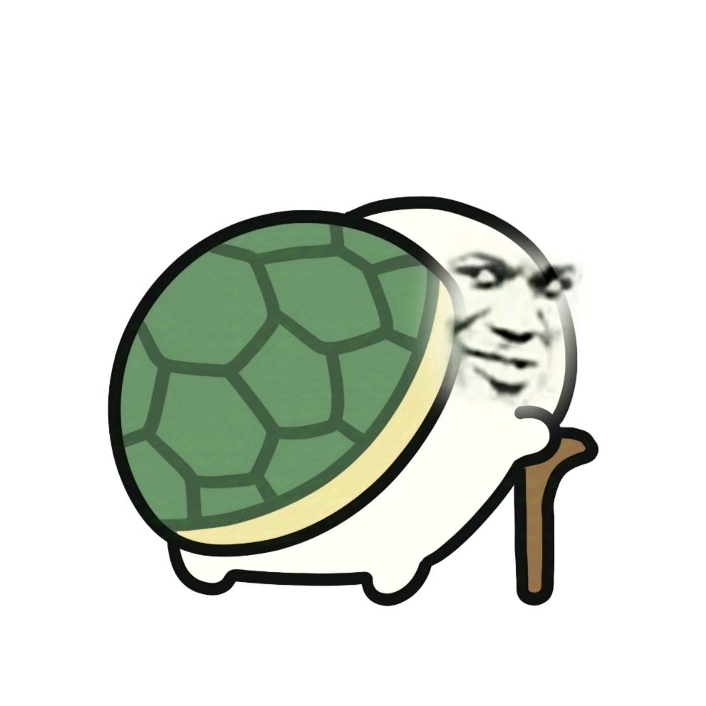 118岁老乌龟正在拿自己的壳当飞盘玩