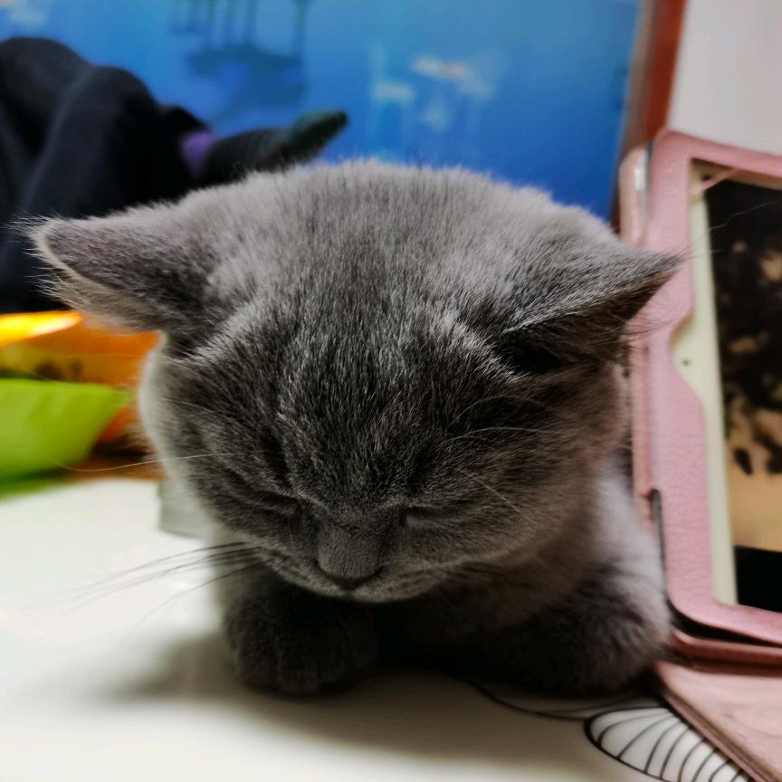 报废车头