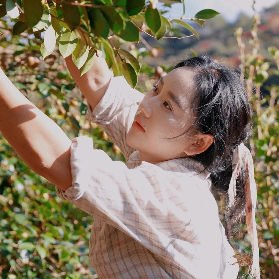 沃尔丰农资宣宣（商品在橱窗）