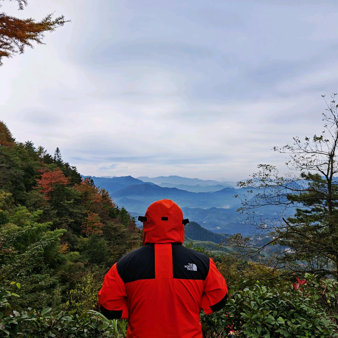 别离