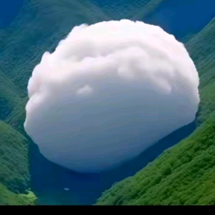 一生只爱你一个人