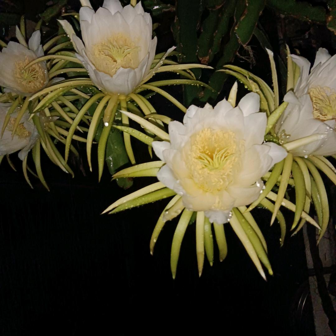 唤醒