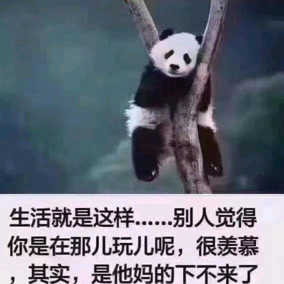 @谁家的大叔💫🌻🌻