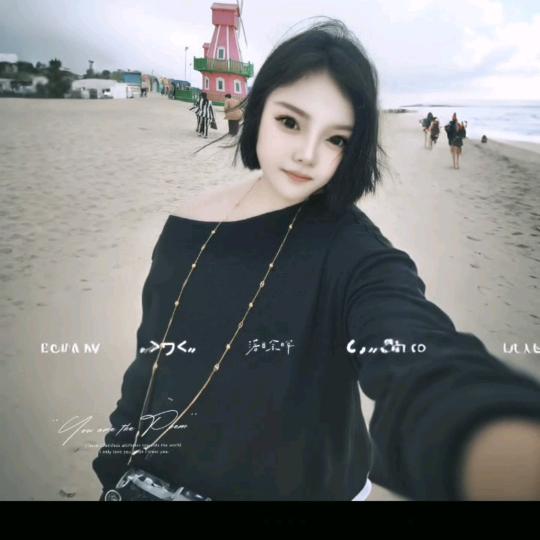 巷子里的猫🐱（工程人）