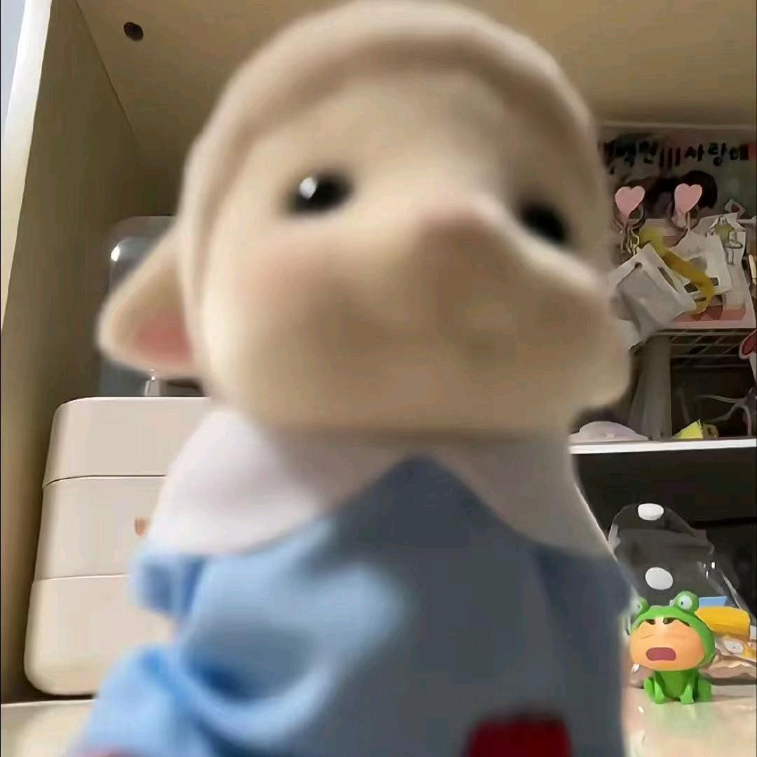 我的天呐