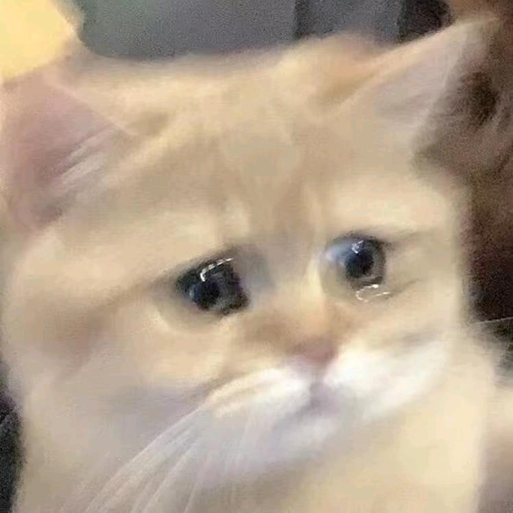 薄凉