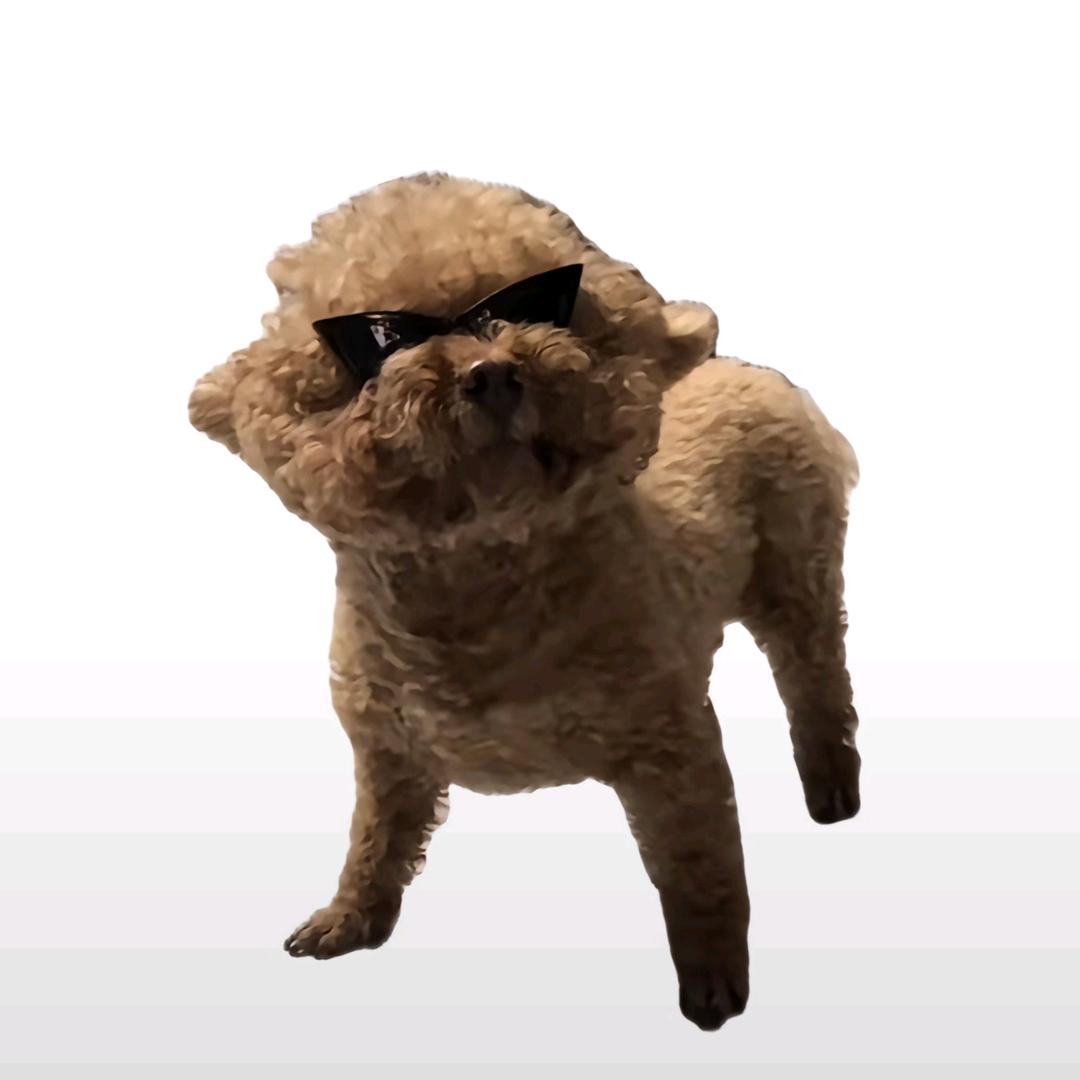 汪汪教使者（助眠）