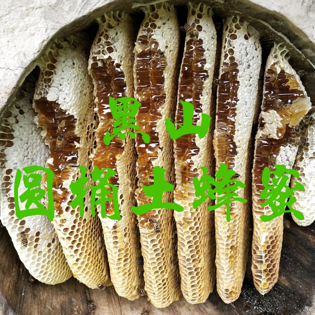 初升太阳