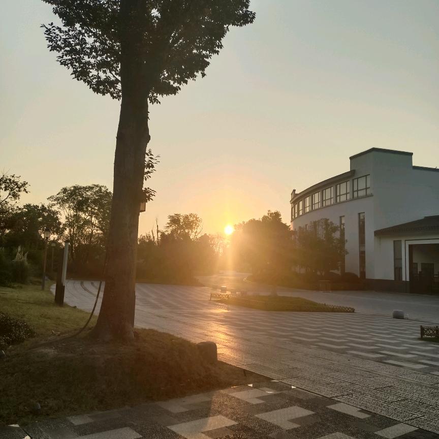 问梅山庄小太阳