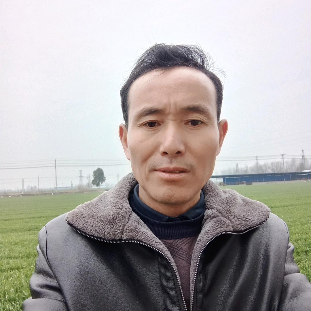 丰诚哥桃件雕刻晚9：30
